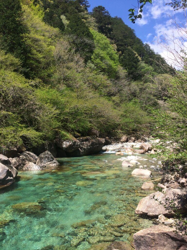 📸 阿寺渓谷入口付近(サイト管理人撮影)
エリアによって色が変わる阿寺ブルー。入口でもこの透明度!